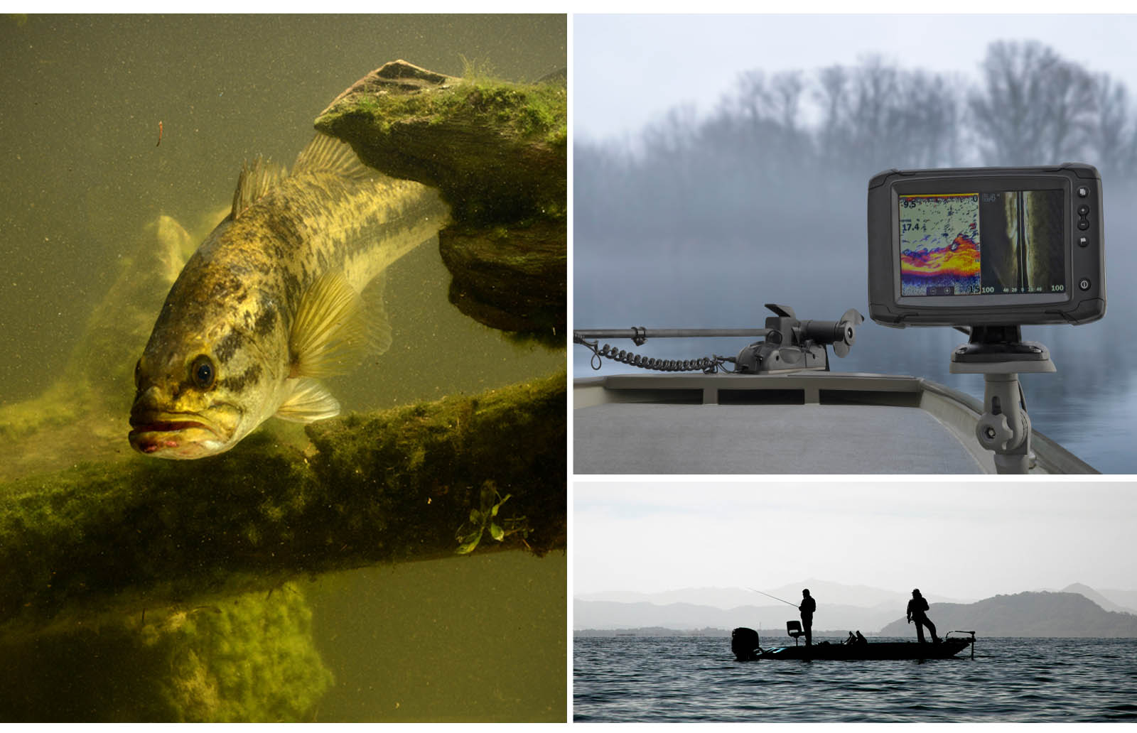 Darrel Binkley knows that winter can promote good bass fishing