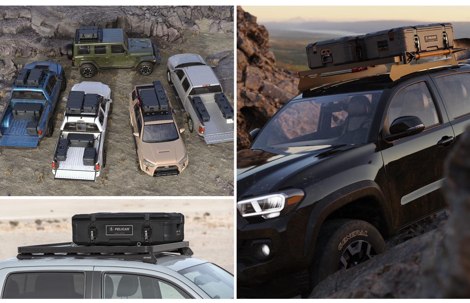 cargo cases