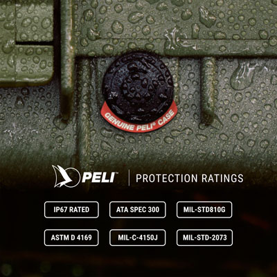 PELI_1510_RATINGS