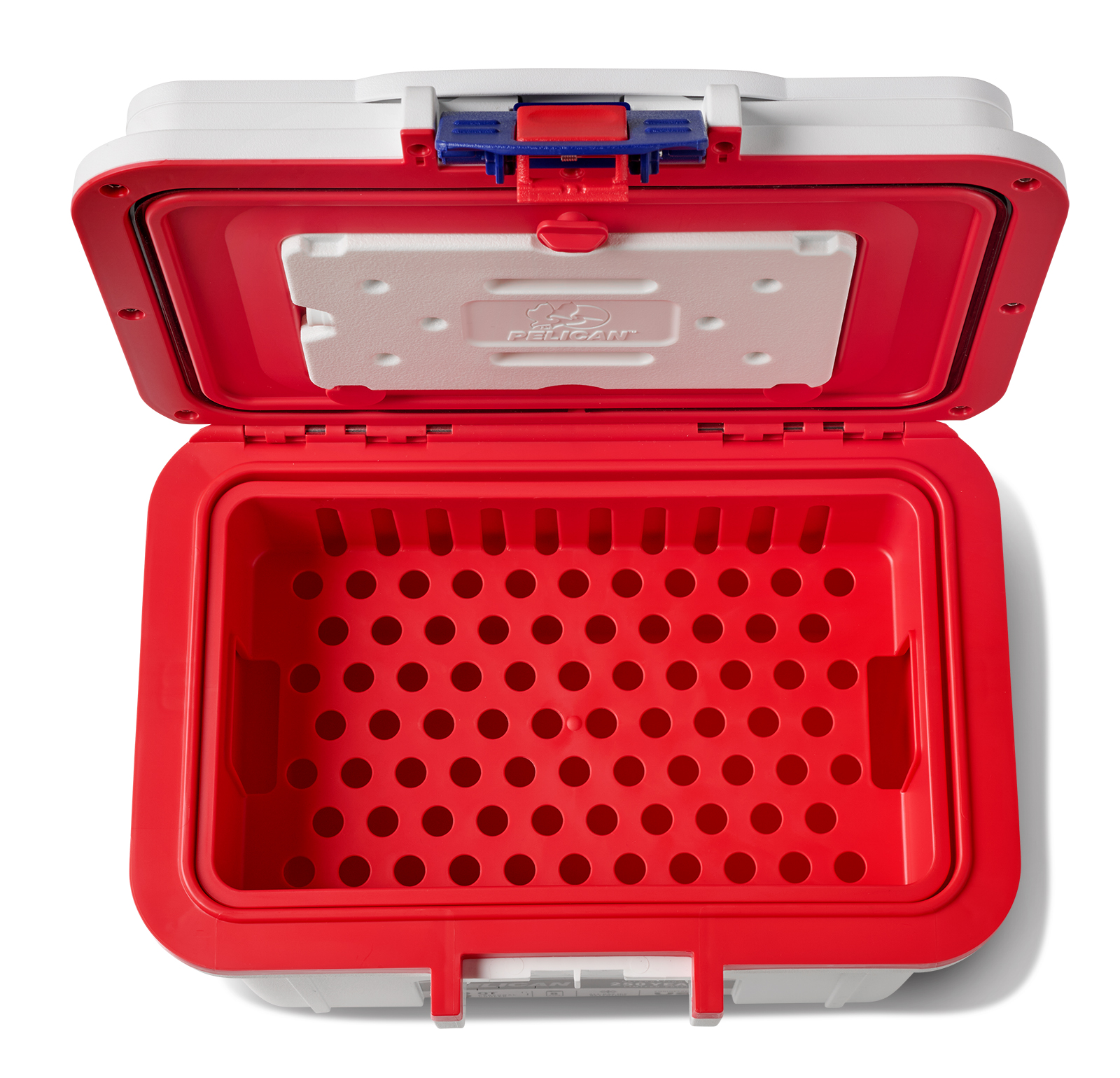 PEL_AM250_8QT_On_White_Top_2