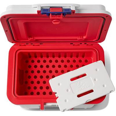 PEL_AM250_8QT_On_White_Top_3