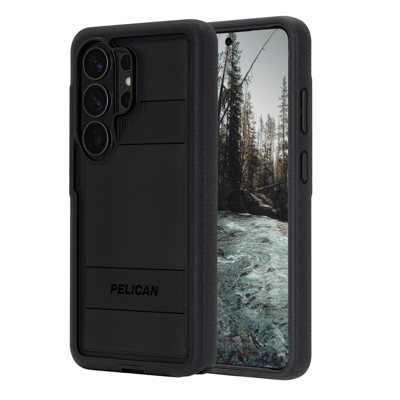 PP059864 cm_PP059864_a